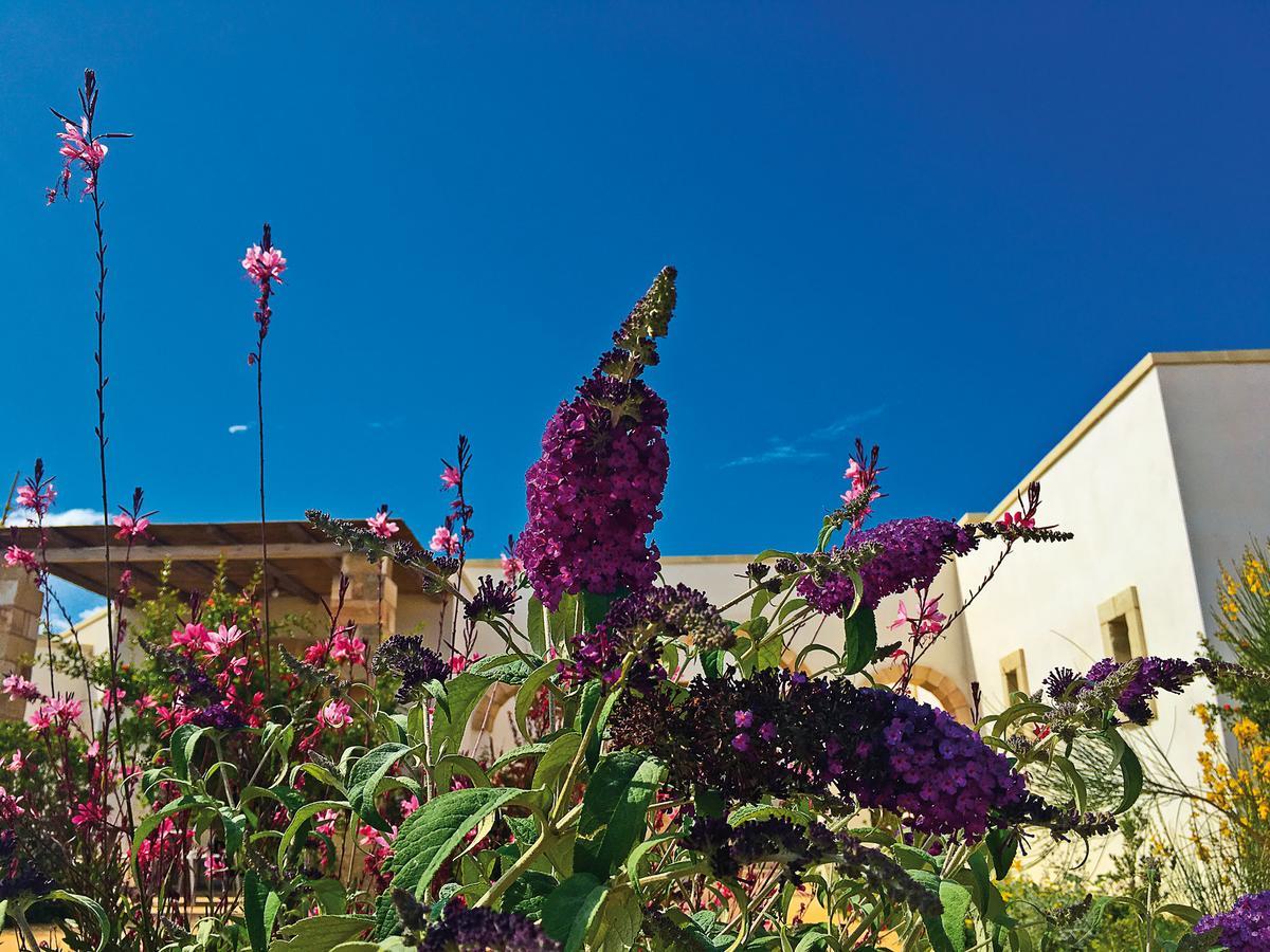 Agriturismo Vigna Corallo Otrante Extérieur photo